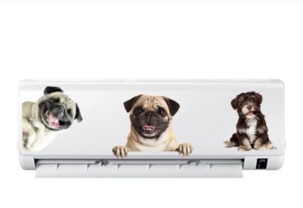 Animal Theme Air Conditioner Sticker