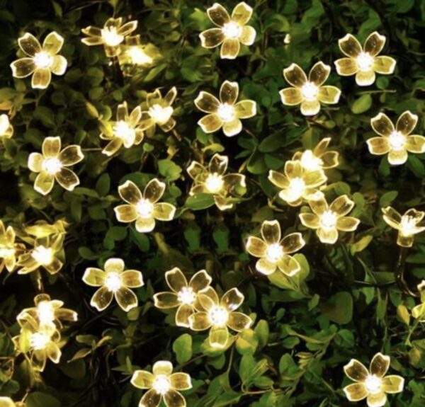 14 LED Silicone Blossom Fairy String Lights – 3 Meter Warm White